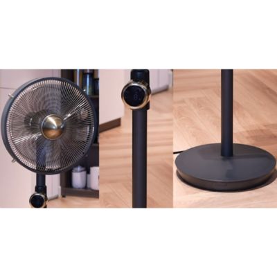 Hình ảnh quạt cây