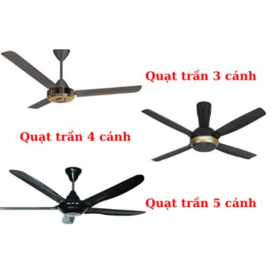 Quạt trần hãng nào tốt? 6 hãng quạt trần phổ biến nhất hiện nay 2 Quạt trần hãng nào tốt_ 6 hãng quạt trần phổ biến nhất hiện nay 10